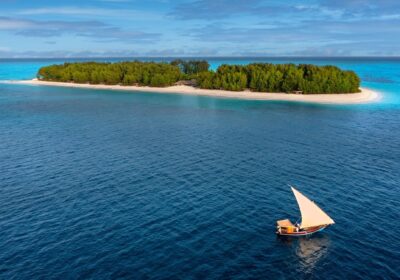 Dolphin Watching (Kizimkazi) Tour