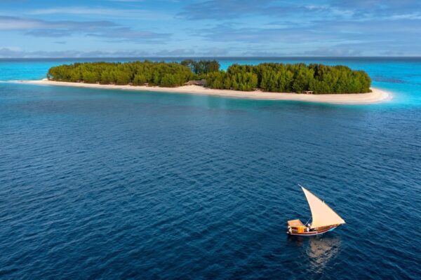 Dolphin Watching (Kizimkazi) Tour