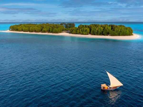 Dolphin Watching (Kizimkazi) Tour