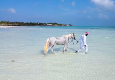 Zanzibar Horse Riding on the Beach