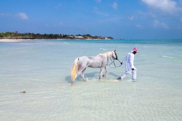 Zanzibar Horse Riding on the Beach