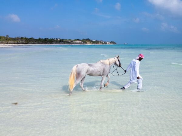 Zanzibar Horse Riding on the Beach