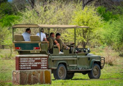 1 Day Selous Safari from Zanzibar