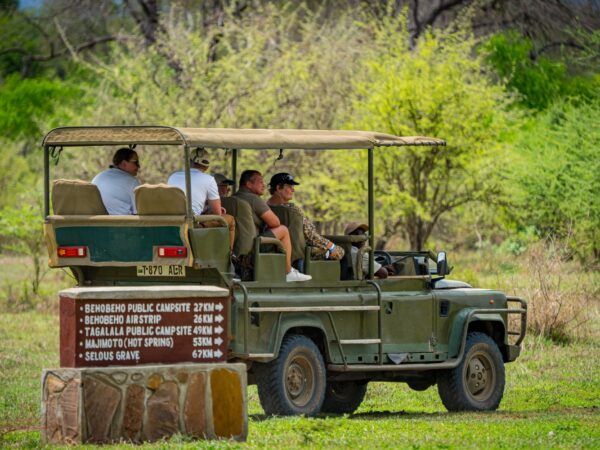 1 Day Selous Safari from Zanzibar