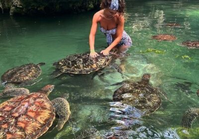 Zanzibar Baraka Natural Aquarium (Nungwi) Tour