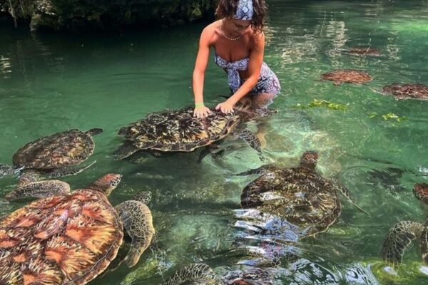 Zanzibar Baraka Natural Aquarium (Nungwi) Tour