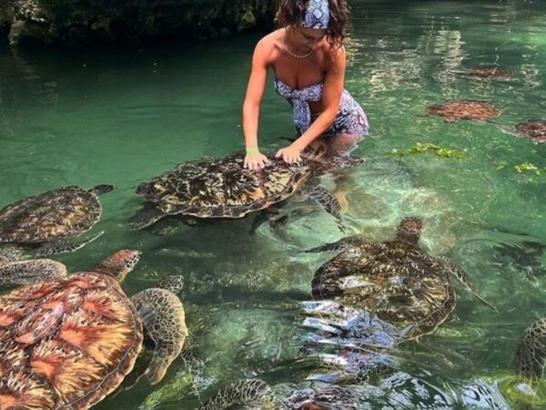 Zanzibar Baraka Natural Aquarium (Nungwi) Tour