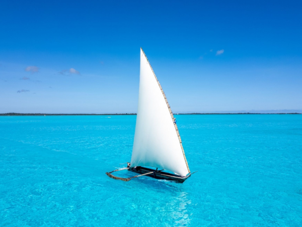 Nakupenda Sandbank Tour – Zanzibar