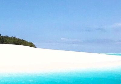 Zanzibar Blue Lagoon & Starfish Snorkeling Tour