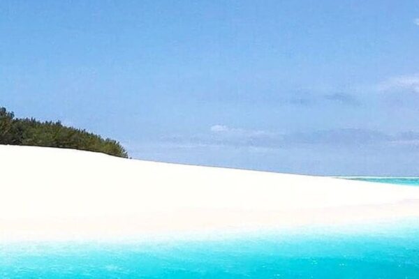 Zanzibar Blue Lagoon & Starfish Snorkeling Tour