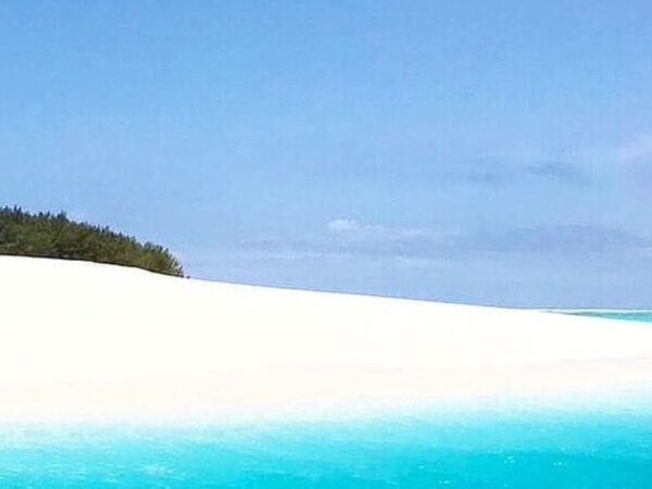 Zanzibar Blue Lagoon & Starfish Snorkeling Tour