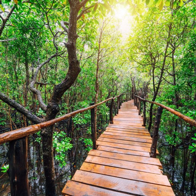 Zanzibar Jozani Forest & Prison Island Tour