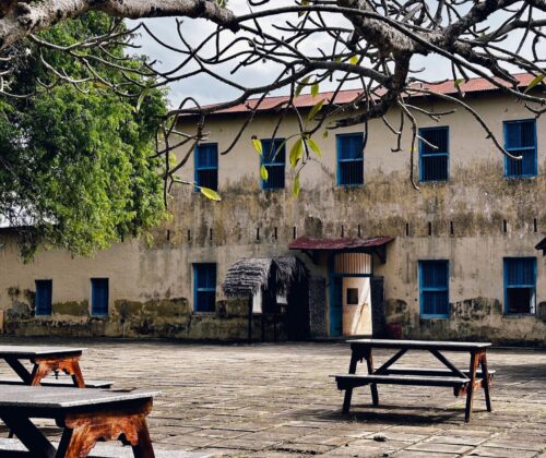 Zanzibar Prison Island & Nakupenda Sandbank Tour