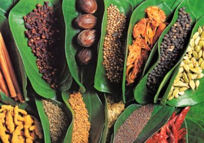 Zanzibar Spice Tour & Prison Island