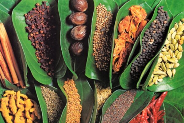 Zanzibar Spice Tour & Prison Island