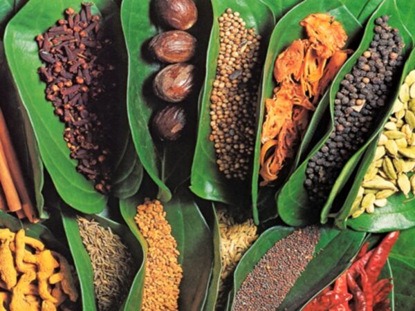 Zanzibar Spice Tour & Prison Island