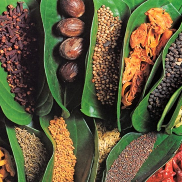 Zanzibar Spice Tour & Prison Island
