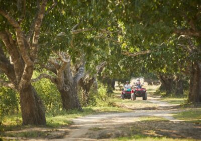 Zanzibar Quad Biking Tours