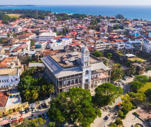 Zanzibar Stone Town & Jozani Forest Tour