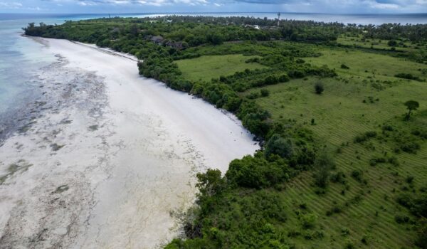 1-Day Pemba Heritage Discovery