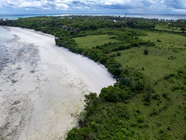 1-Day Pemba Heritage Discovery