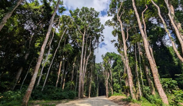 3-Day Pemba Island Retreat