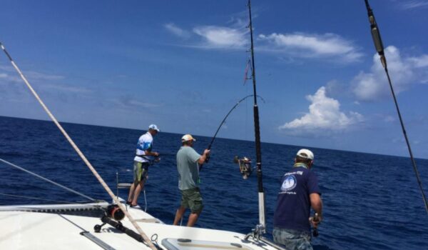 Deep Sea Fishing Adventure