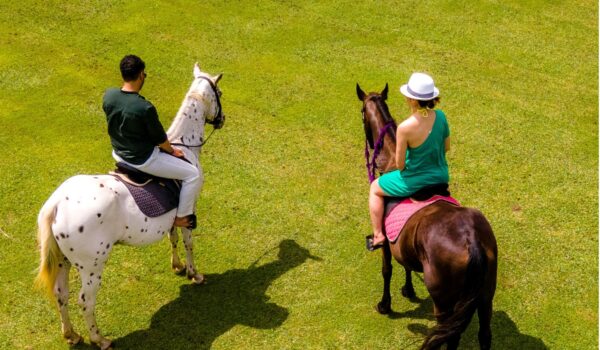 Horse Riding Adventure