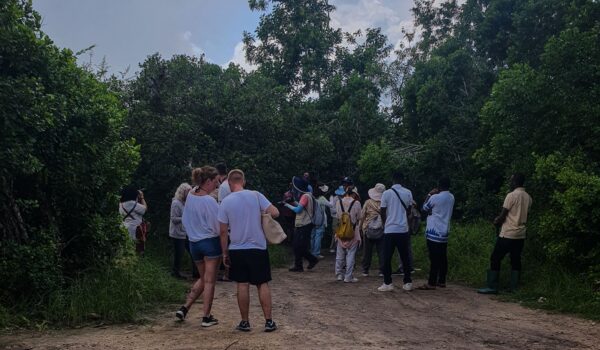 Jozani Forest Nature Walk & Mangrove Tour