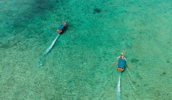 Nakupenda Sandbank Dhow Cruise & Beach Picnic