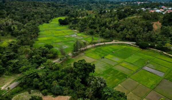 Zanzibar Traditional Spice Farm Experience